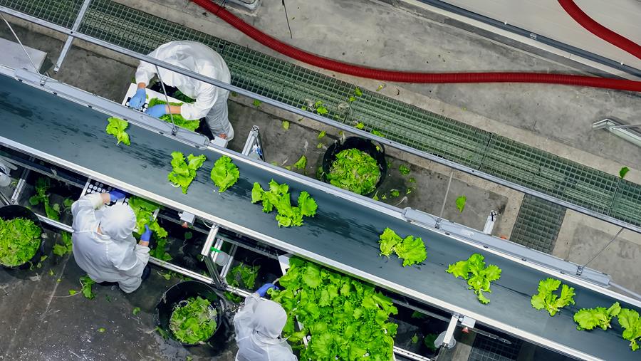 Les lubrifiants pour l'industrie alimentaire