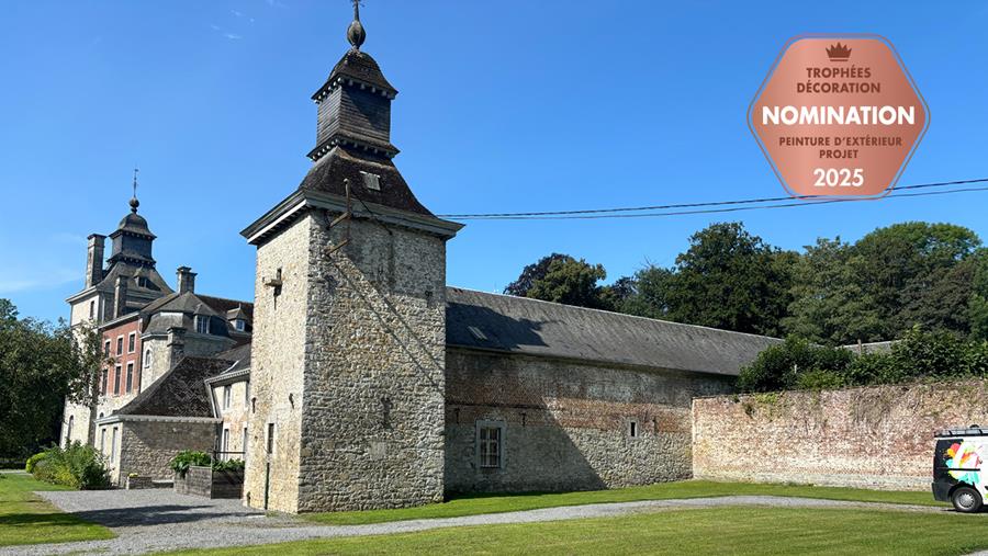 Des corniches retrouvent leur éclat royal