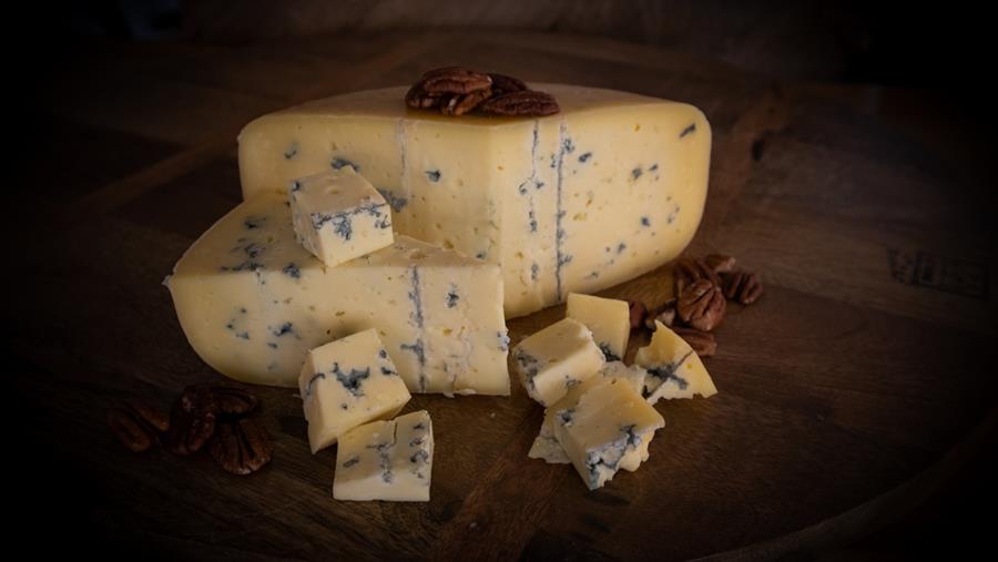 Schimmelkazen brengen de nodige variatie in de koeltoog