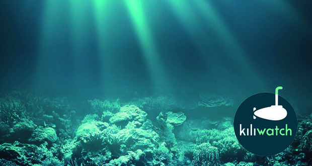 Van keukentafel-administratie tot professioneel bedrijf