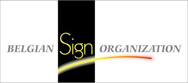 De BSO, een professionele organisatie