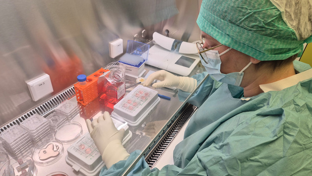 UZ Brussel hoopt op vruchtbaarheidsherstel na transplantatie teelbalweefsel