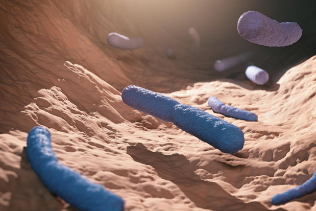 Een uitzonderlijke mapping van de vaginale microbiota 