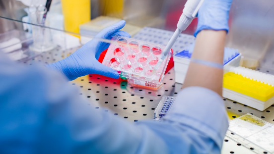 Vier keer meer nieuwe kandidaat-stamceldonoren in 2025